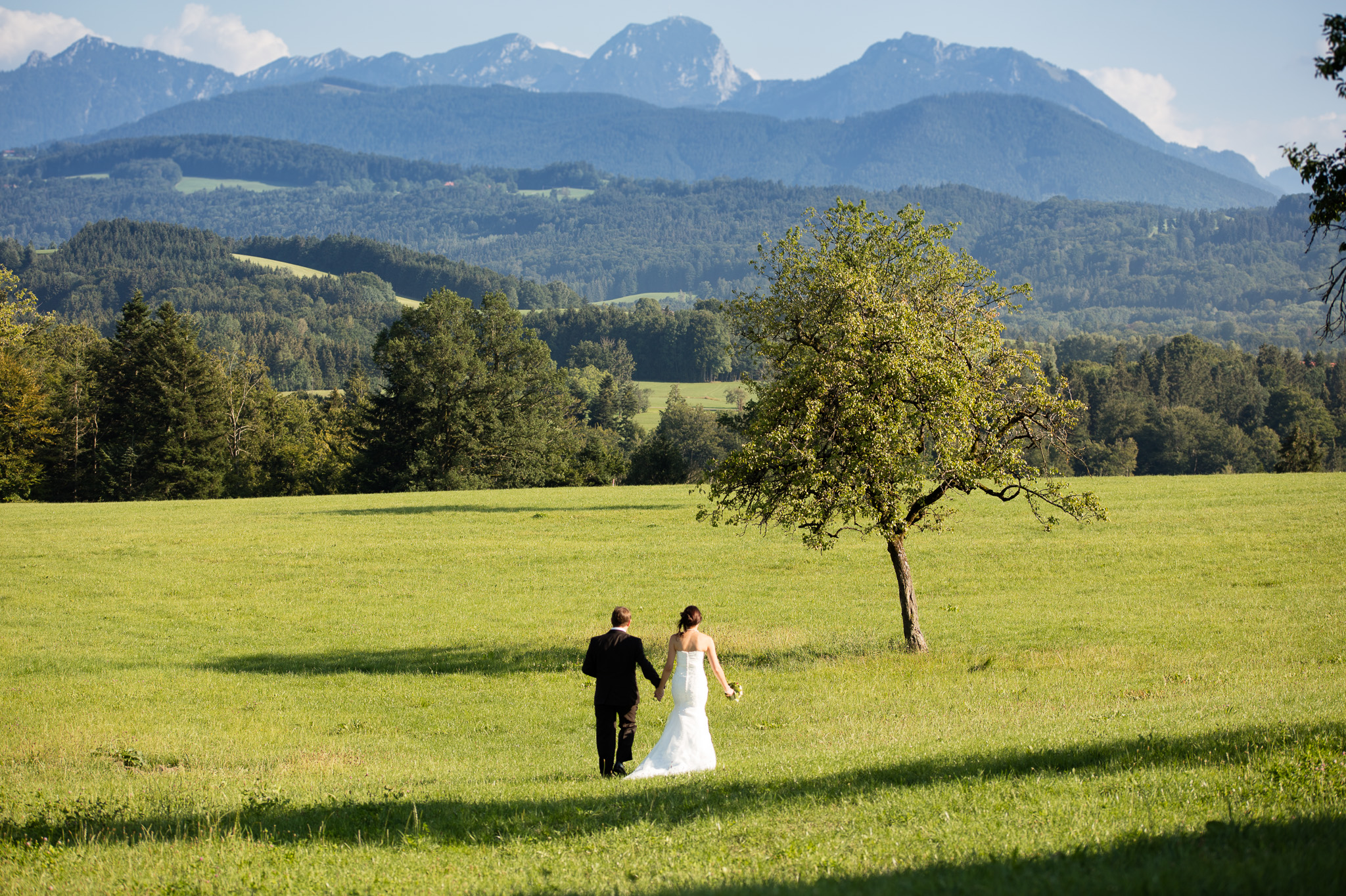 Hochzeitsfoto-07, Paar auf Wiese von hinten, im Hintergrund Berge
