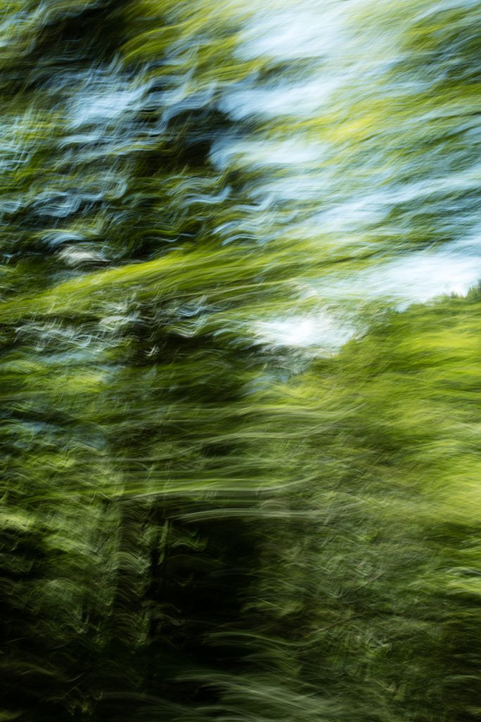 Landschaft in Bewegung Bewegungsunschärfe